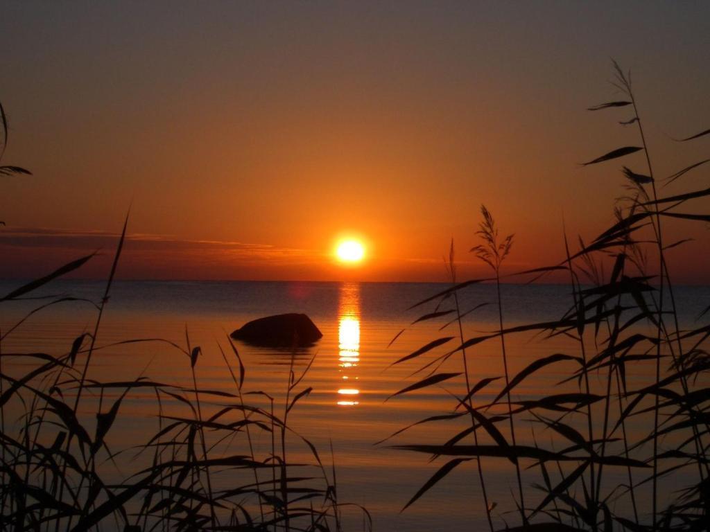 Willipu Guesthouse Alatskivi Bagian luar foto